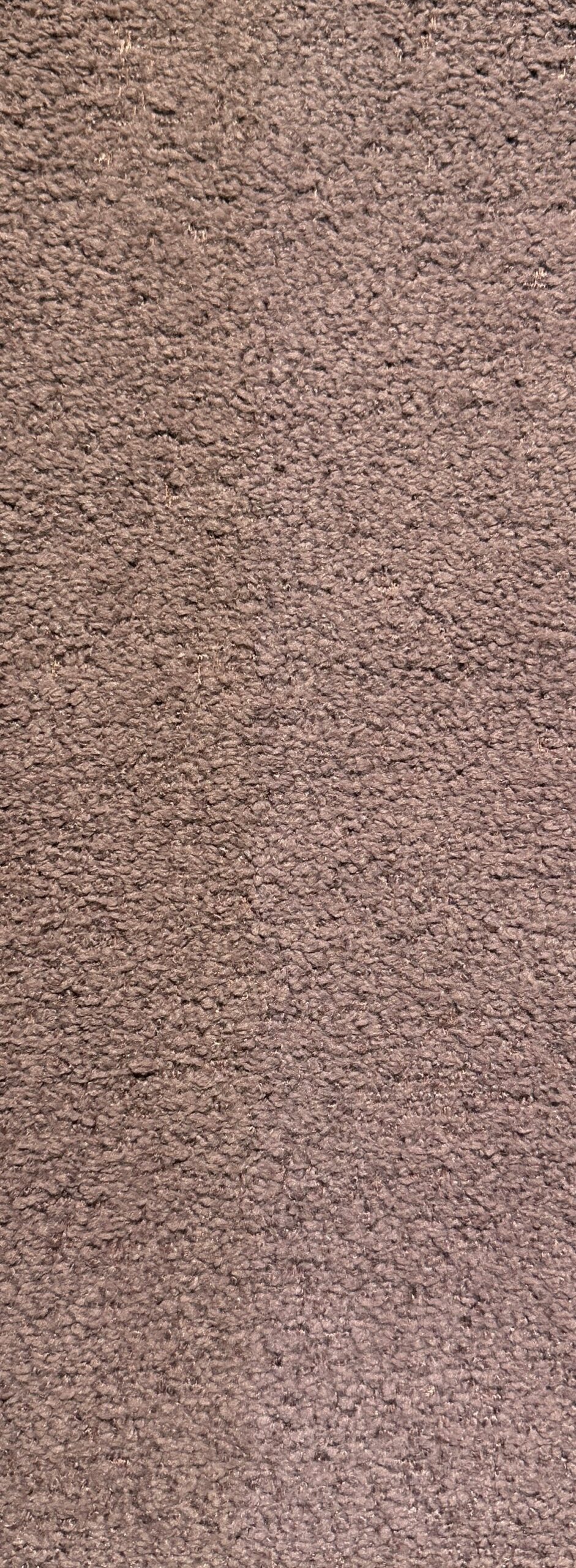 Boogie-Blackberry-177